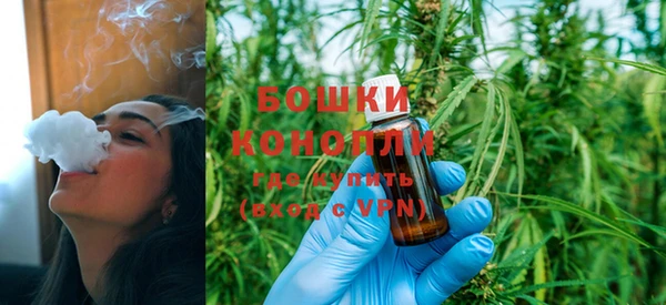 ешки Алексеевка