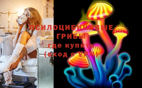первитин Алексин