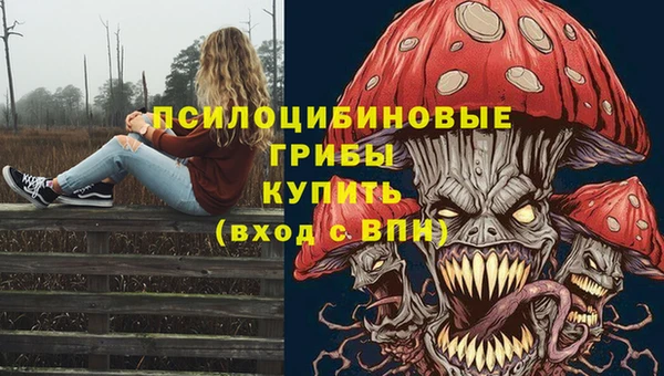 первитин Алексин