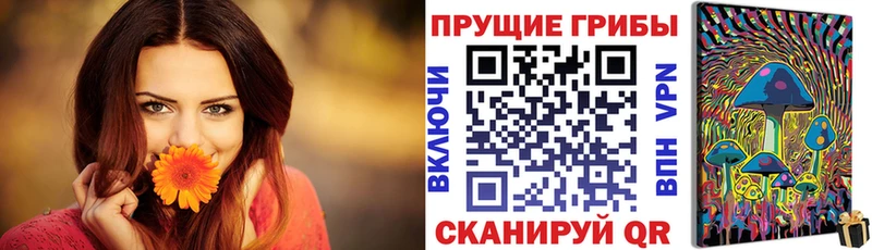 дарнет шоп  Оханск  Псилоцибиновые грибы прущие грибы 