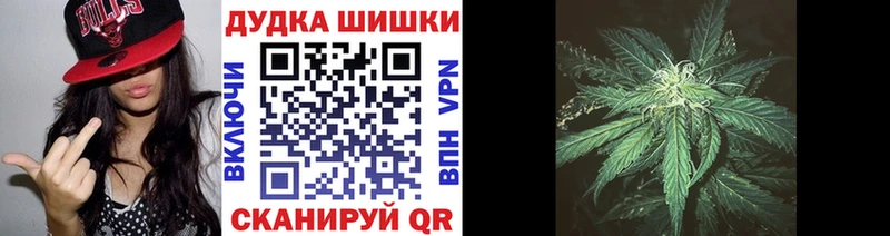 Каннабис сатива  Оханск 